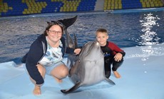 DOLPHIN SHOW $15